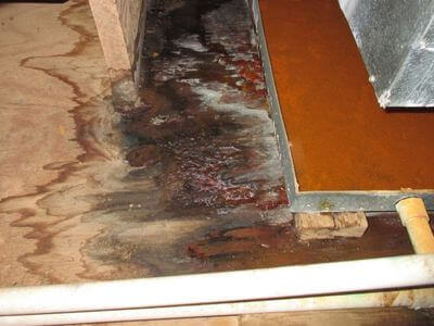 About Rapid Restoration - water damage restoration experts in Sheffield